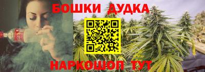 индика Изобильный