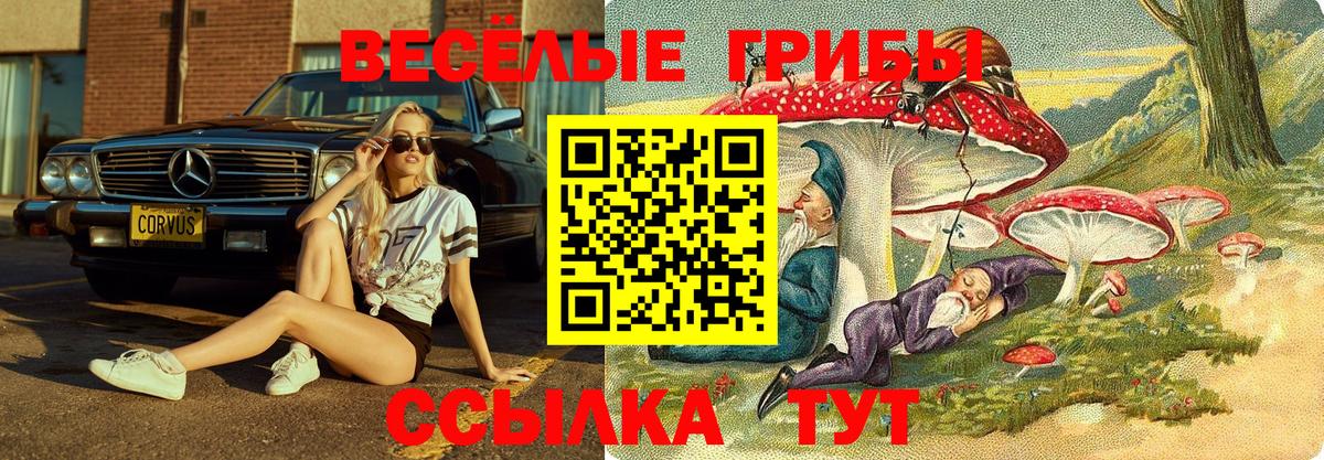 Псилоцибиновые грибы Cubensis Краснодар