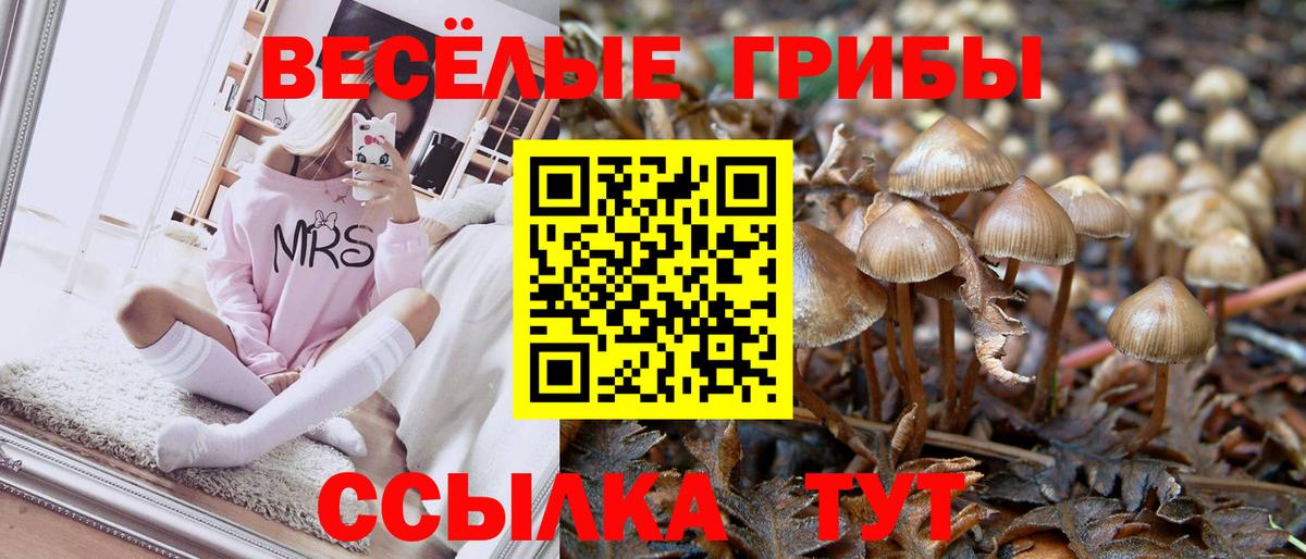 Галлюциногенные грибы прущие грибы  Вход с VPN  продажа наркотиков  Галлюциногенные грибы Cubensis  Краснодар 